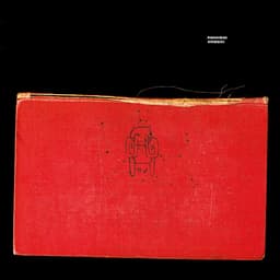 Amnesiac cover