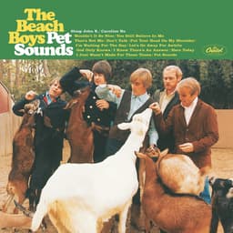 Pet Sounds - Album by The Beach Boys | Spotify cover